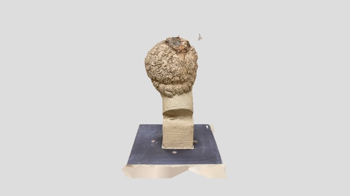 Ancient Rome head - Jara 3D Model