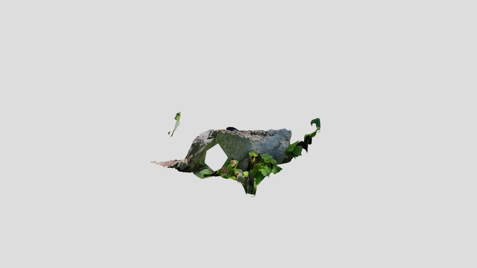 Interesting rock