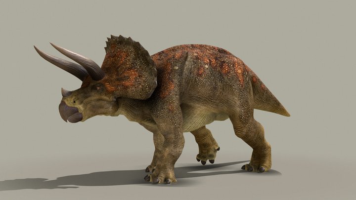 Triceratops Horridus 3D Model