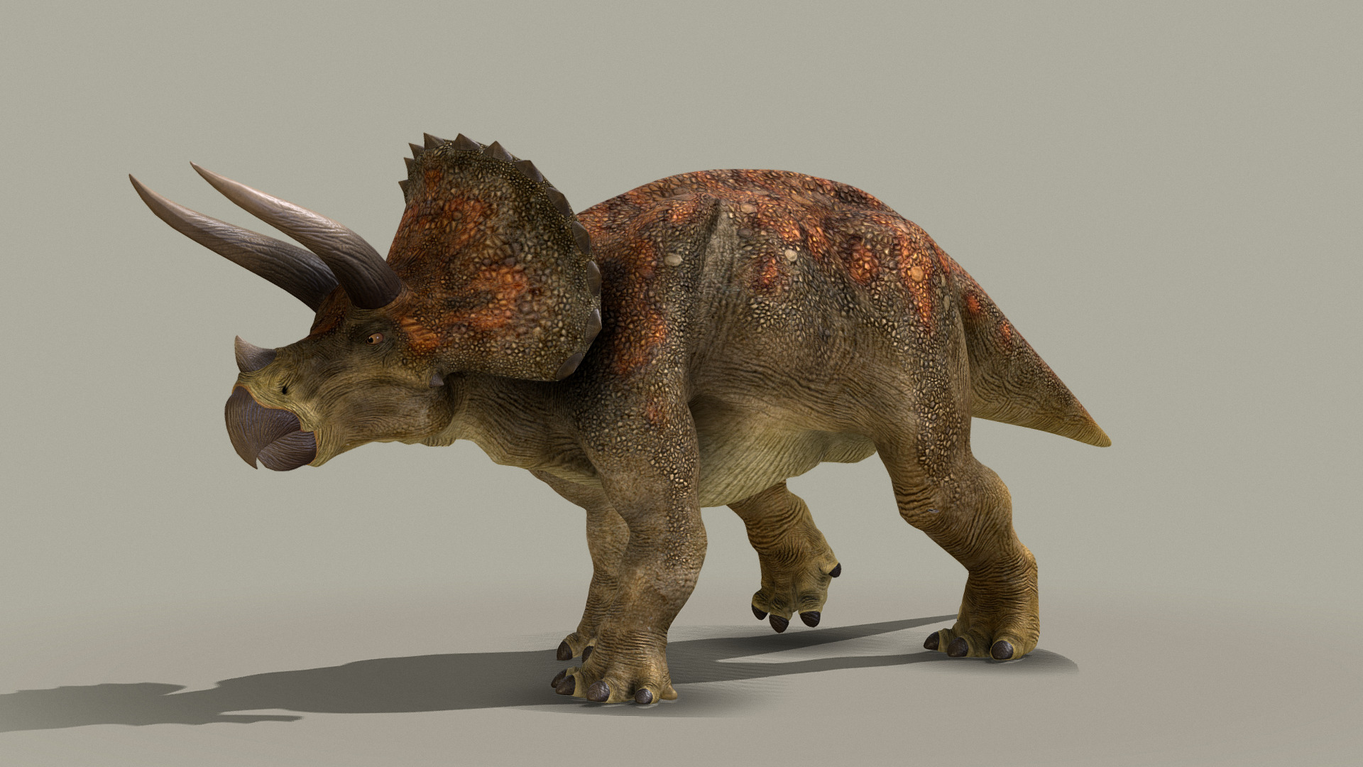 3D model Triceratops Horridus - This is a 3D model of the Triceratops Horridus. The 3D model is about a dinosaur with a large head.