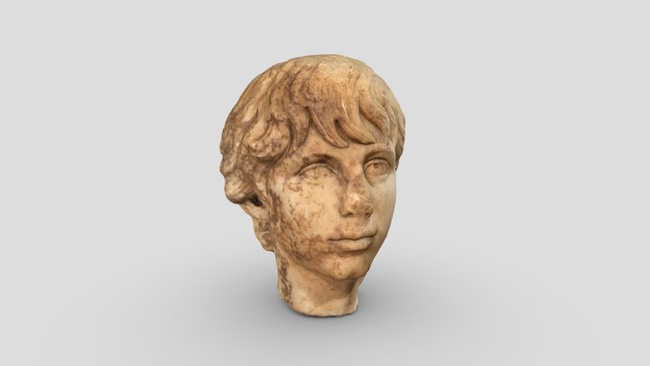 Polydeukion Head 3D Model