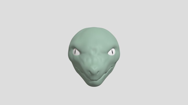 My model 3D Model