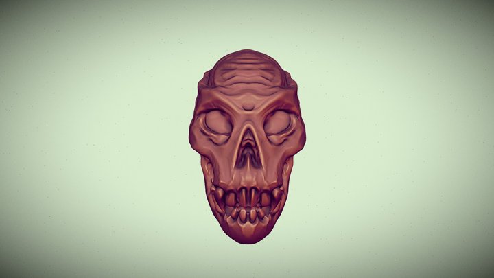 Alien Skull 3D Model