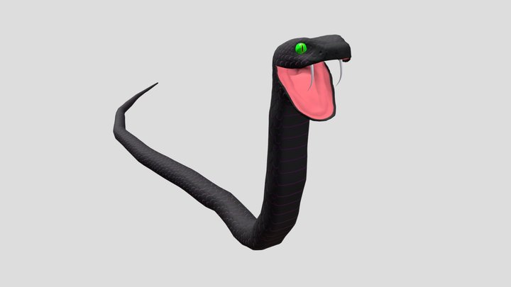 Snake 3D Model