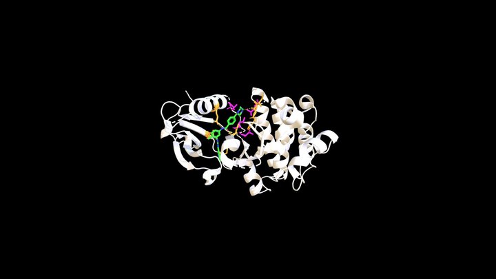 Bcr-Abl Inhibited by STI571 (Imatinib) 3D Model