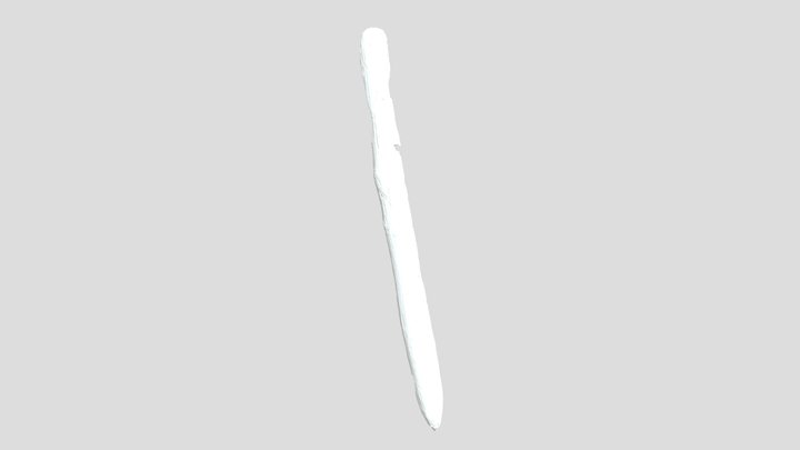 logboat 3D Model