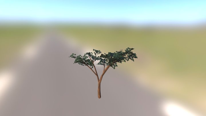 Foliage Tree Acacia 1 3D Model