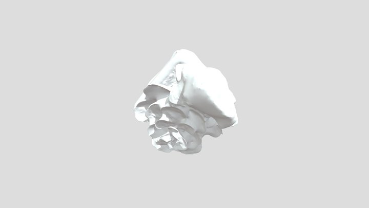 Plant 3D Model