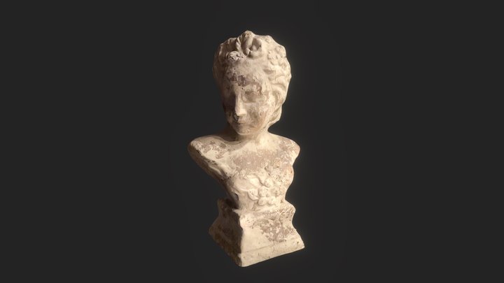 French bust 3D Model