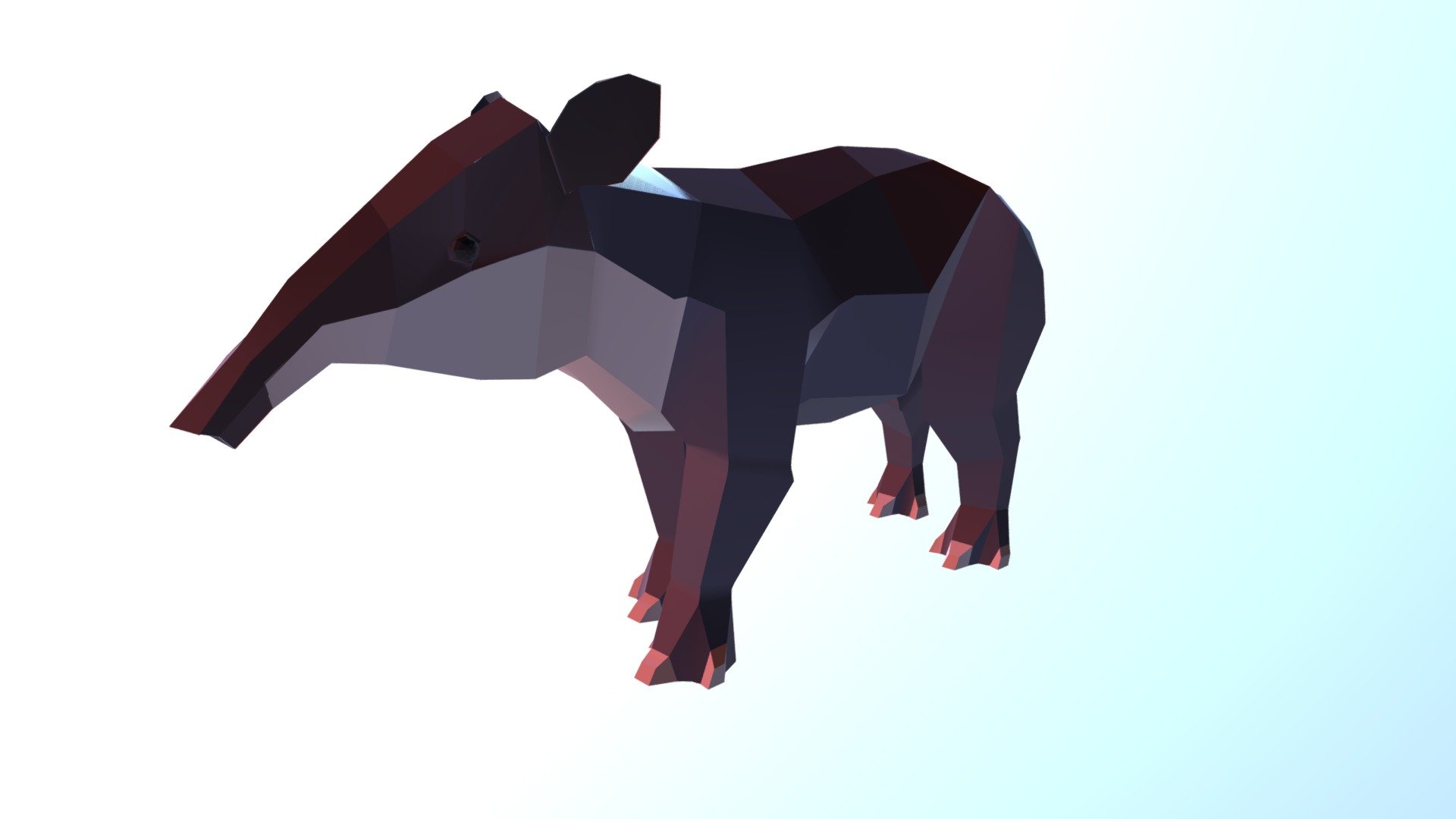 Tapir - 3D model by HectorRA [4cf63bc] - Sketchfab