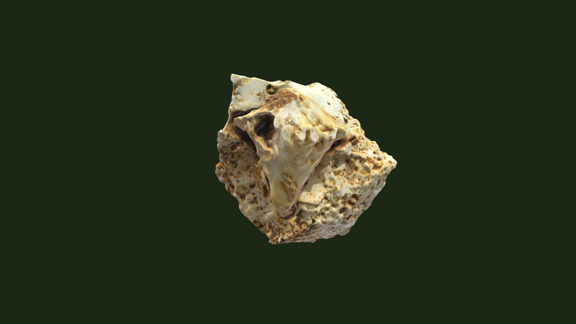 3D model Eutrochocrinus christyi - This is a 3D model of the Eutrochocrinus christyi. The 3D model is about a skull of an animal.