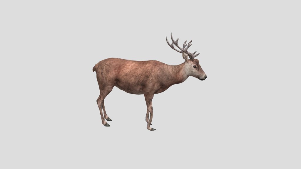 Animated Deer