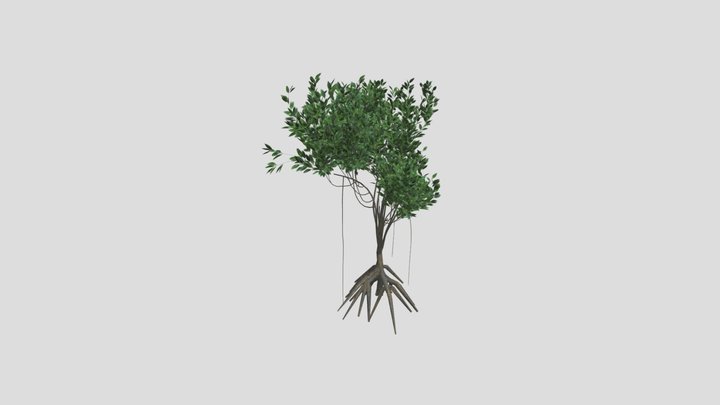 GTV mangrove bush A 3D Model