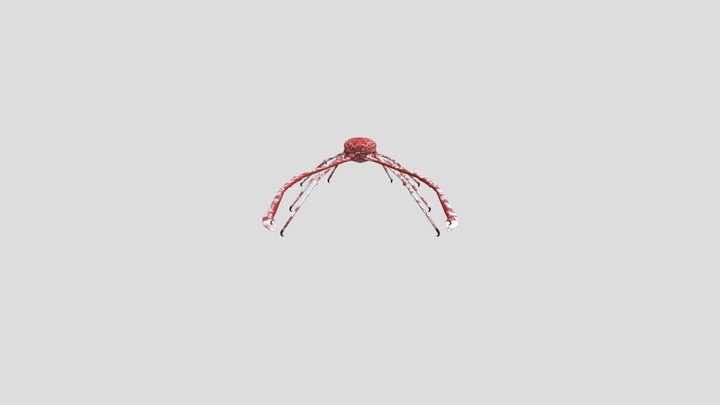 SpiderCrab 3D Model