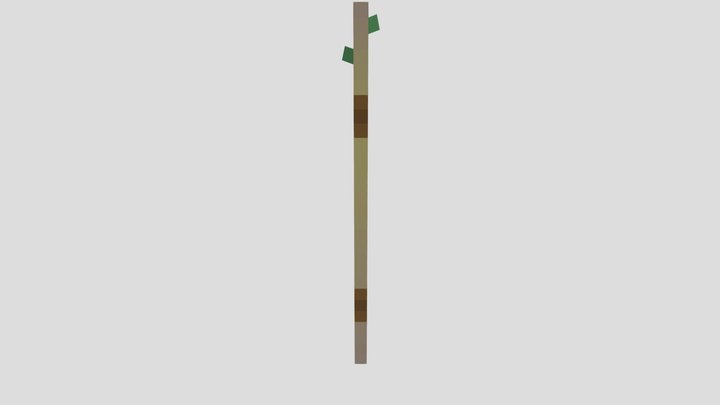 staff_with_animation 3D Model