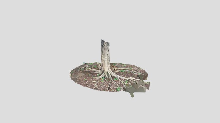 Tree low Part