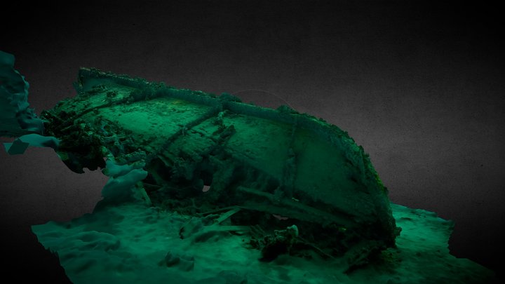 Shallow wreck 3D Model