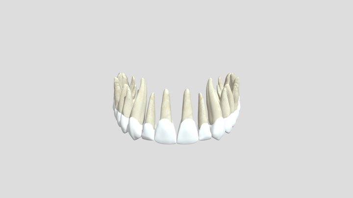 teeths