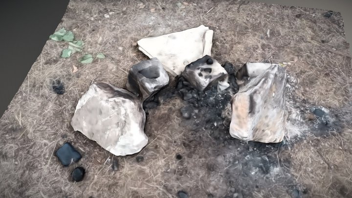Campfire: 3D Scan Reference 3D Model