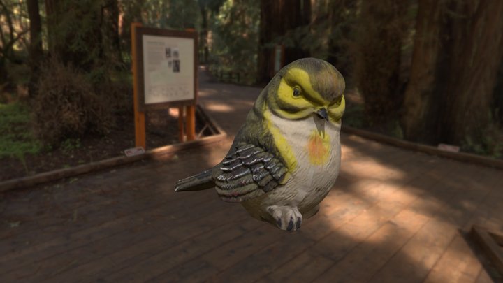 Vogel  //  bird 3D Model