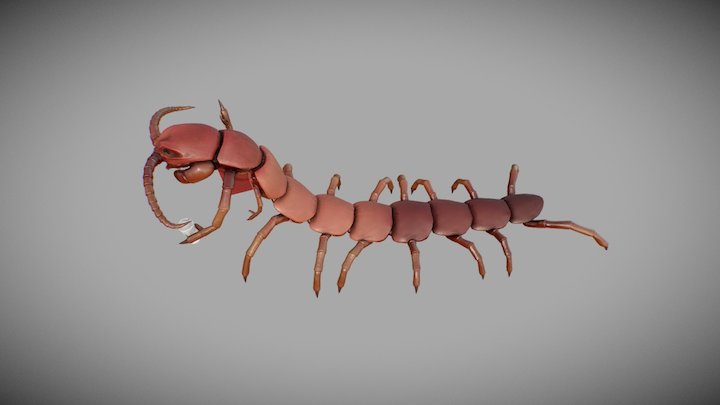 Centipede-inspired Alien lady 3D Model