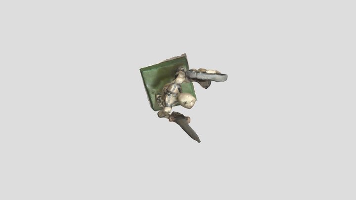szkielec 3D Model