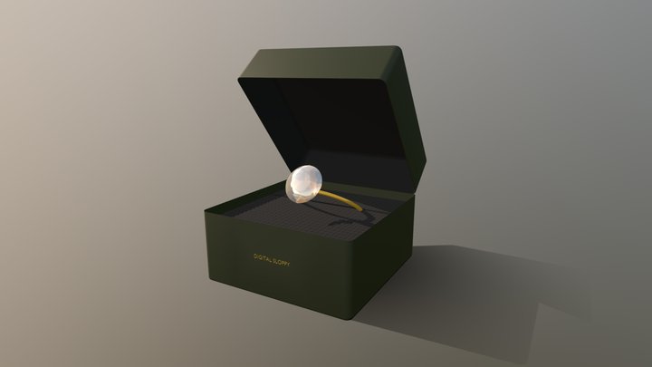 Anillo de Compromiso – Modello 3D gratuito STL