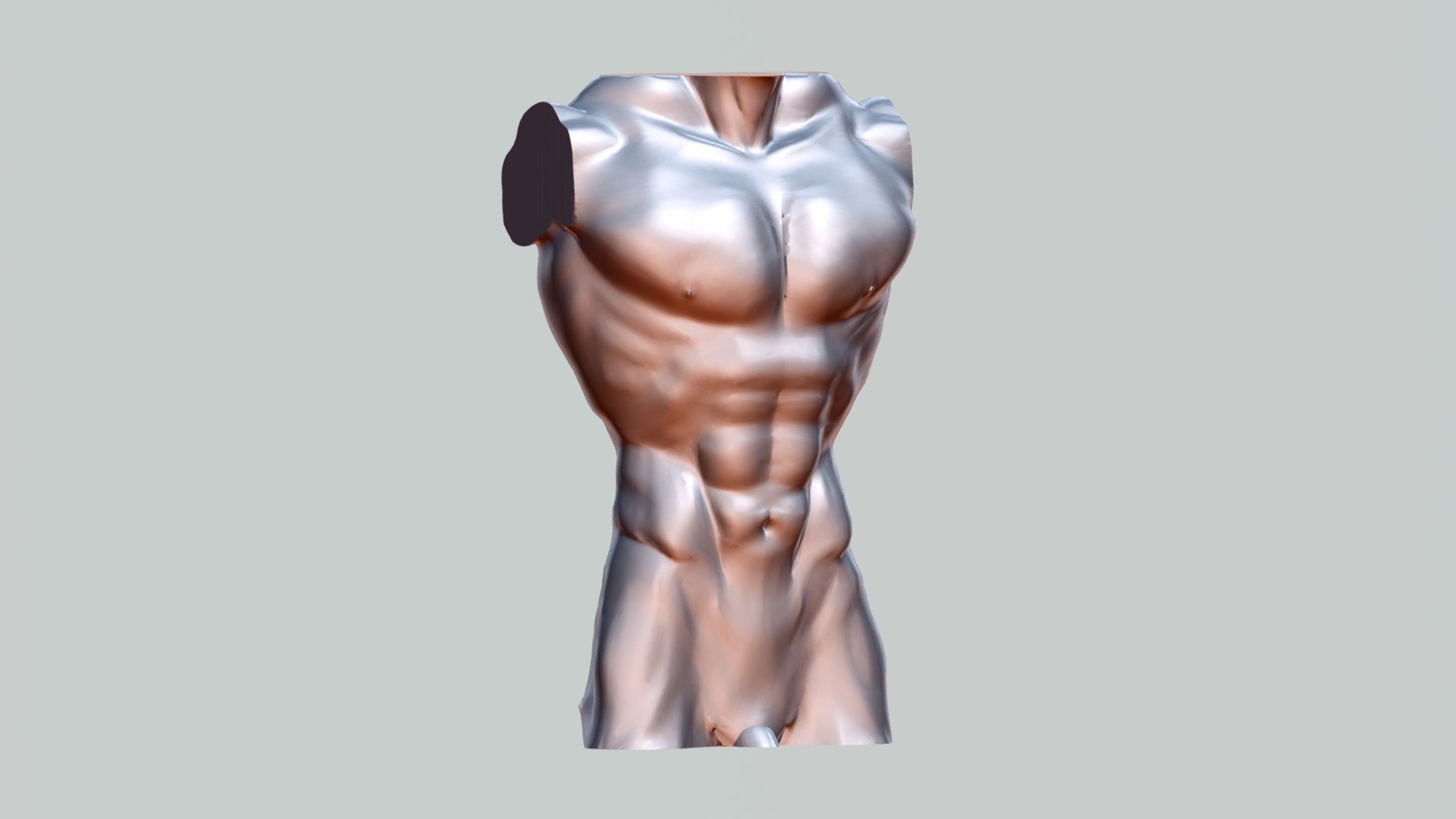 Torso - 3D model by NeoPops [4d14f19] - Sketchfab