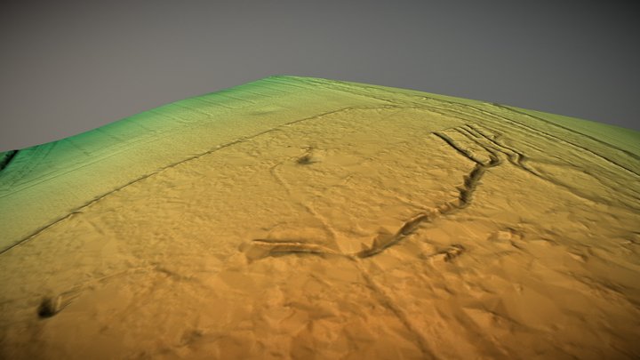 Odstock Copse, Wiltshire (UK) – Free 3D Model STL