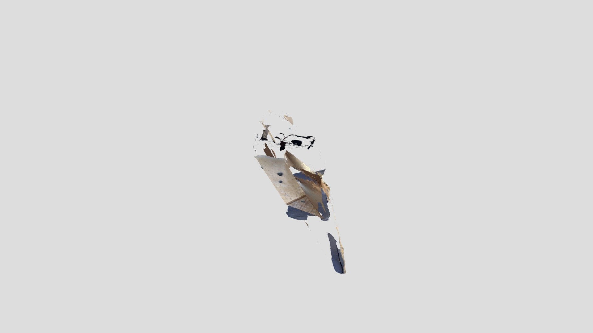 Polycam capture