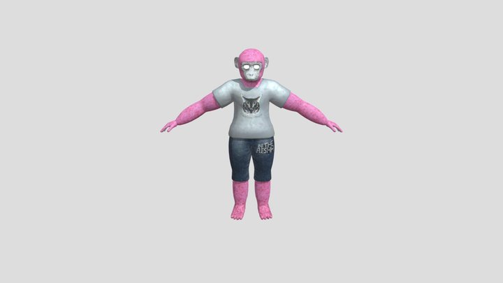 My Avatar (StellaDev) Bonelab 1 3D Model