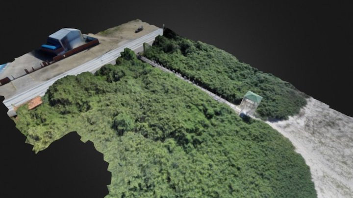 UAVGeo - Footbridge over restinga vegetation