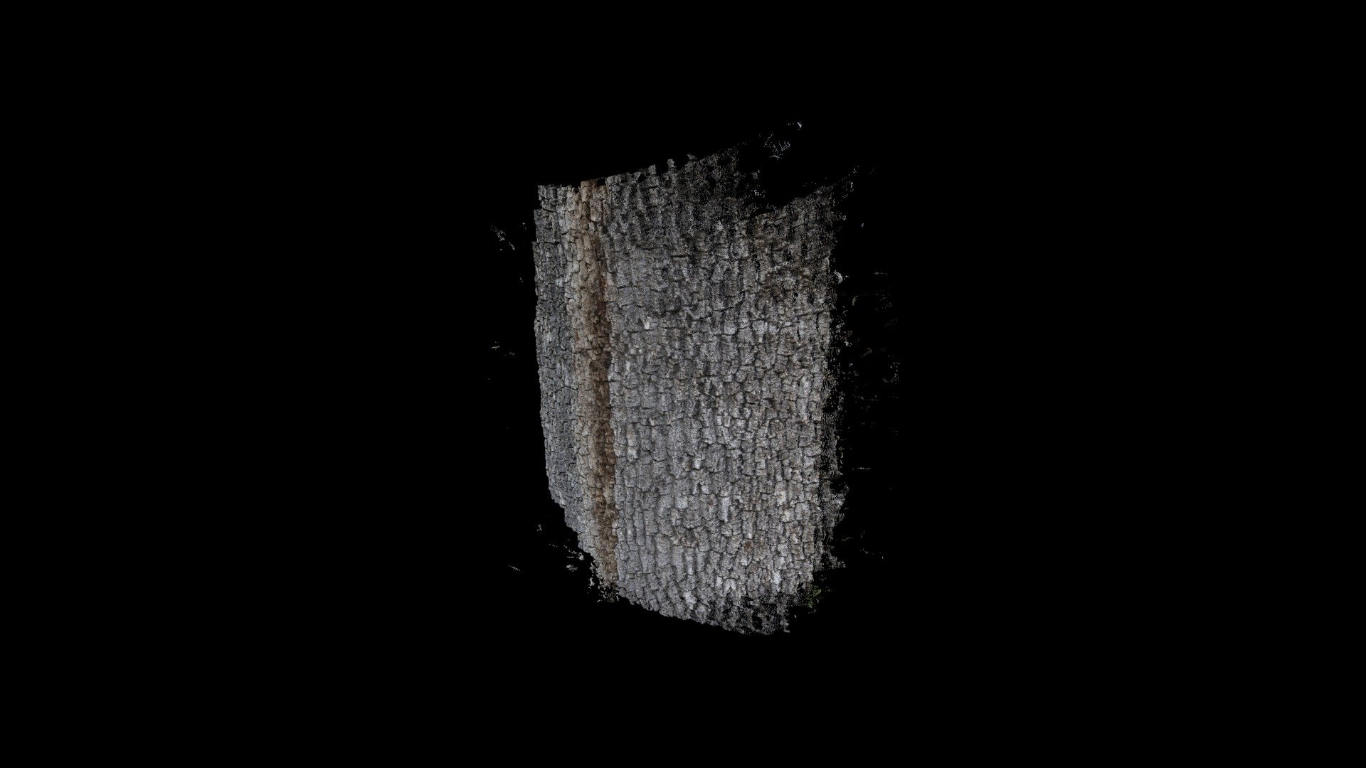 Lizar hostotxiki / Narrow-leafed Ash