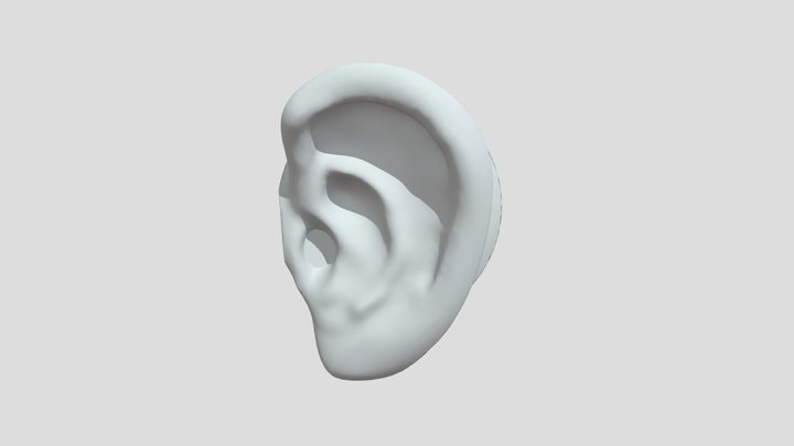 ear import 3D Model