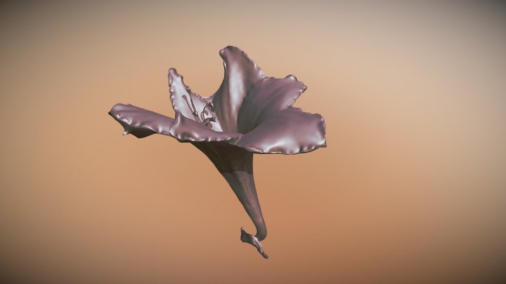 Amaryllis