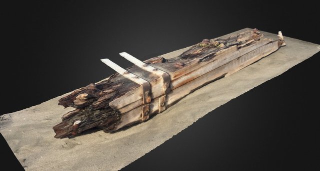 Beach detritus – Modèle 3D gratuit STL