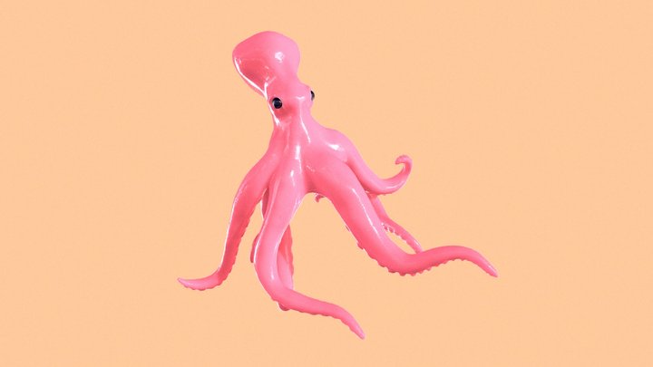 Octopus 3D Model