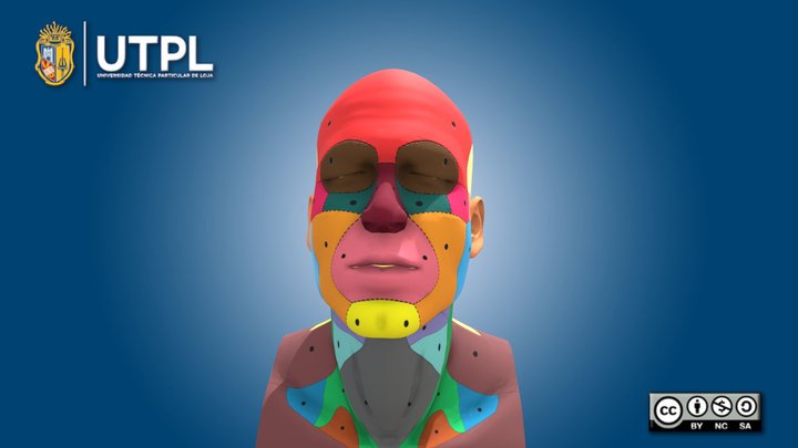 Cabeza regiones anatómicas – Modello 3D gratuito STL