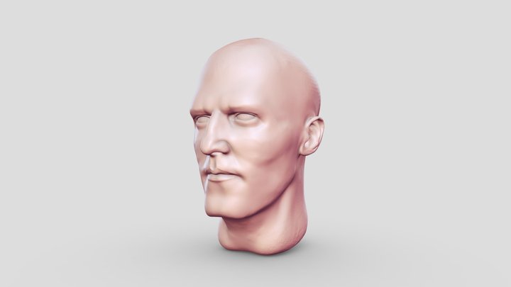 Face Sculpting Practice 3D Model