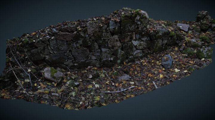 A Ruined Watermill Wall 3D Model