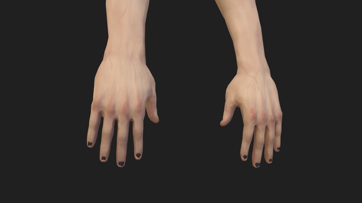 Stylized First Person Arms 3D Model