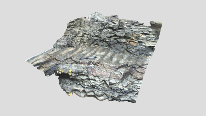 Ripple surface at Liscannor (Ireland) 3D Model