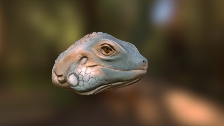Iguana Head 3D Model