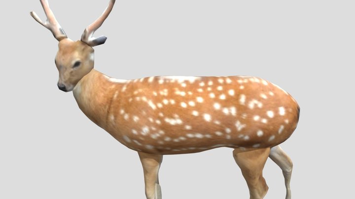 鹿 3D Model