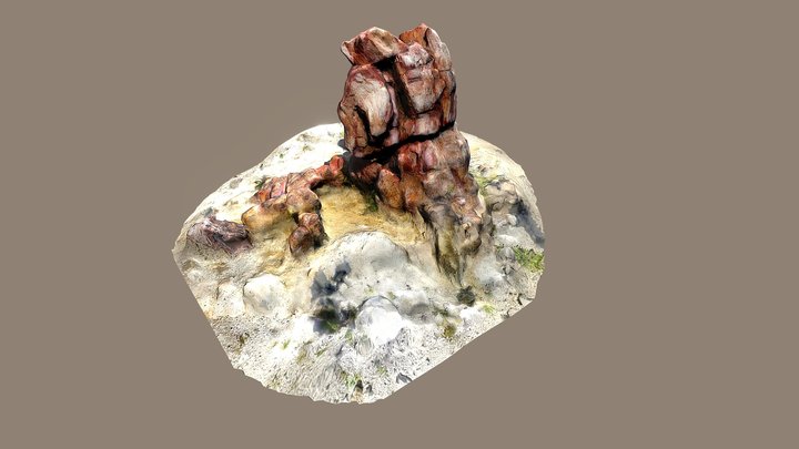 Είδος Πεύκη η παράδοξη (Νο 20) 3D Model