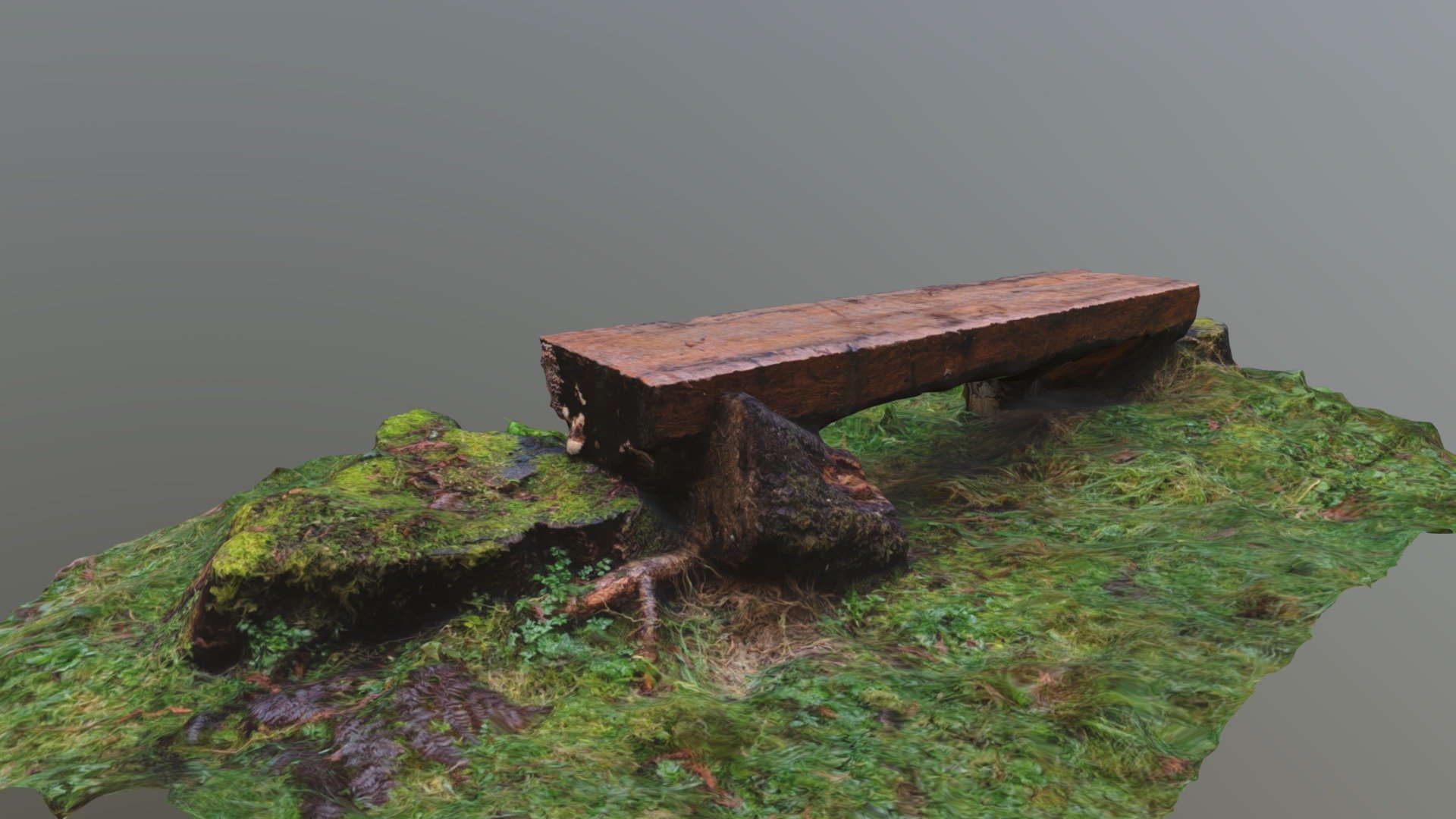 Wooden Bench