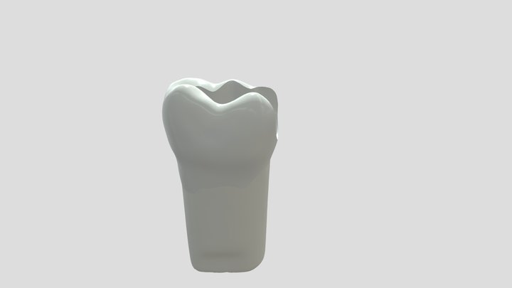 Tooth_MO 3D Model