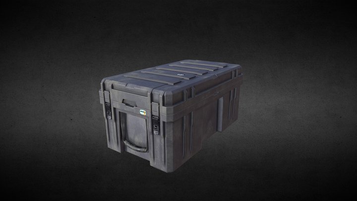 Travel Box with Rig 3D Model