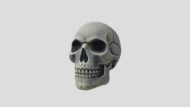 Human skull handpainted 3D Model