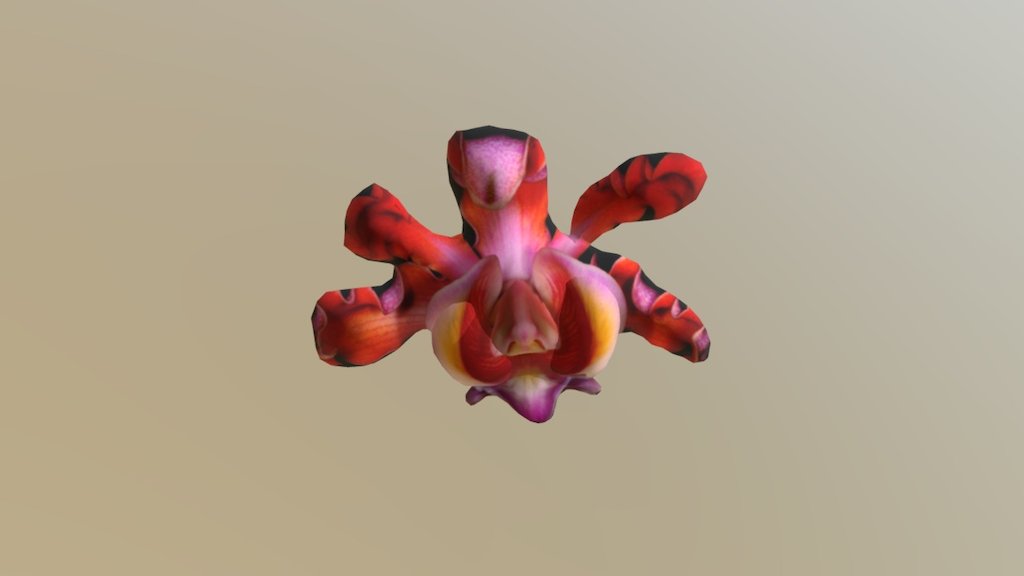 Smoothie-3D upload
